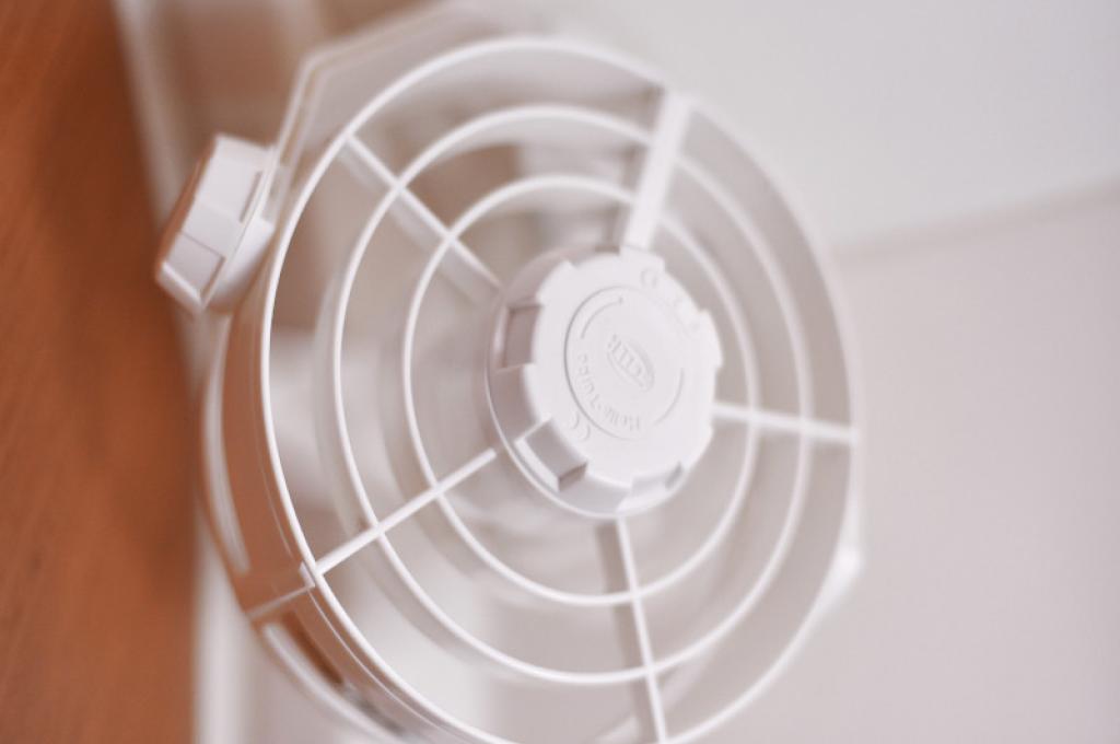 Original-Foto | aufgenommen am 24.06.2019