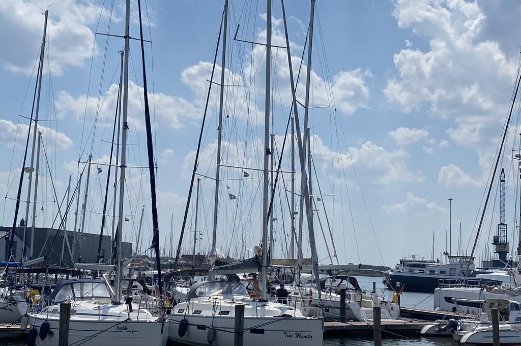 Original-Foto eines Kunden | aufgenommen am 11.06.2023