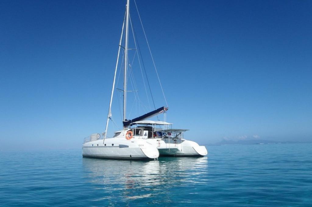 Katalog-Foto (evt. abweichend)