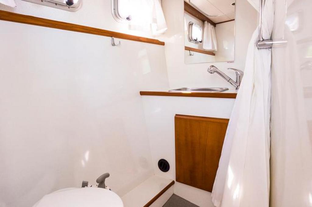 Katalog-Foto (evt. abweichend)