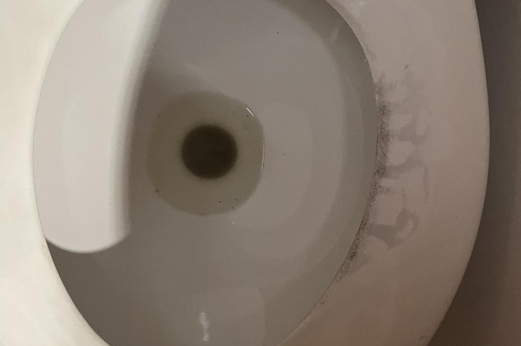 Original-Foto eines Kunden