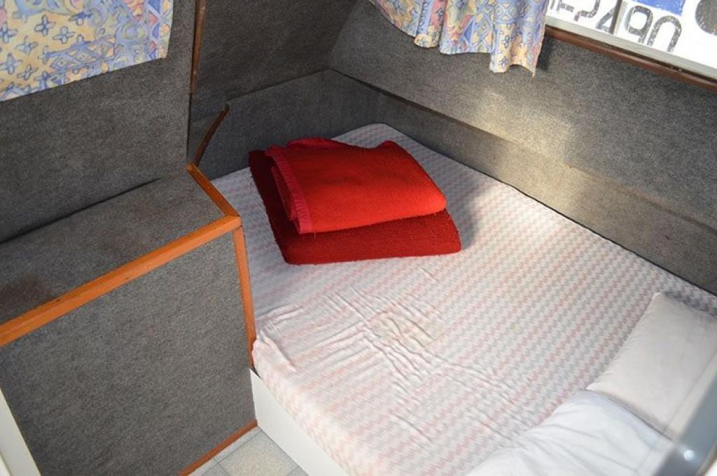 Katalog-Foto (evt. abweichend)