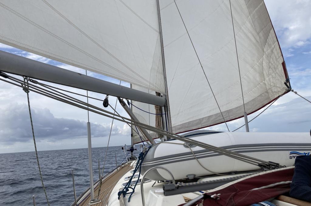 Original-Foto eines Kunden | aufgenommen am 11.10.2022