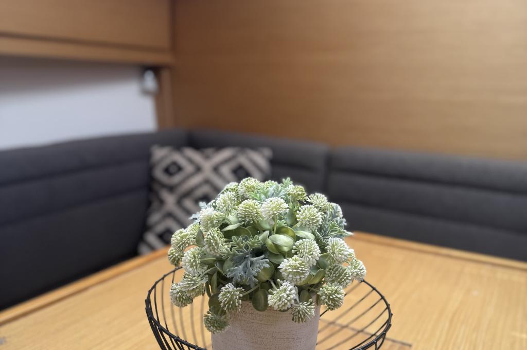 Original-Foto | aufgenommen am 31.05.2025