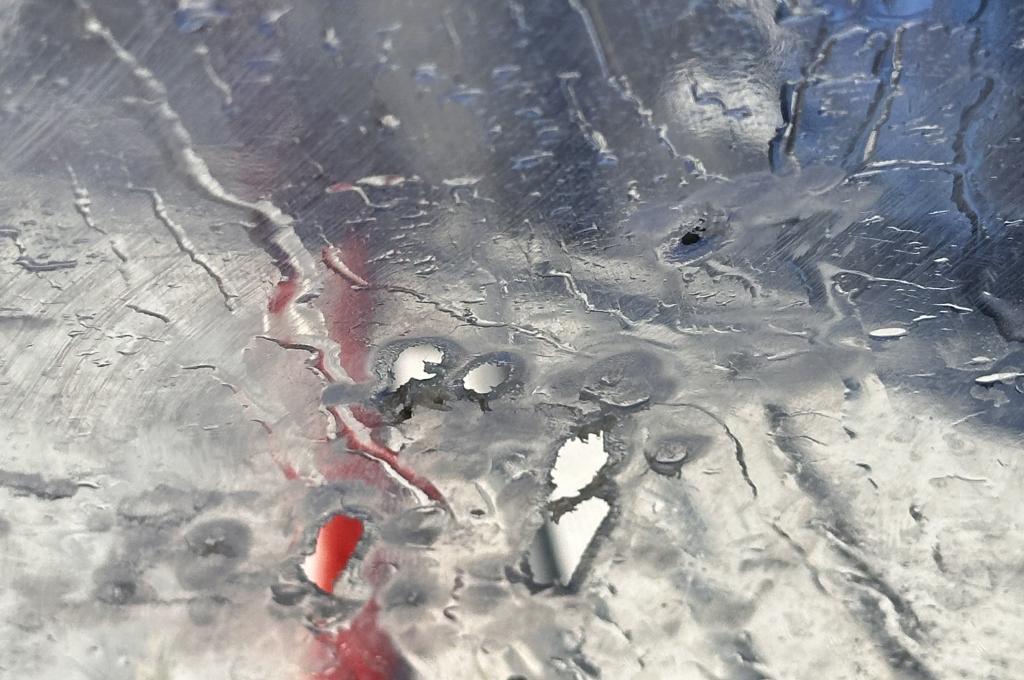 Original-Foto eines Kunden