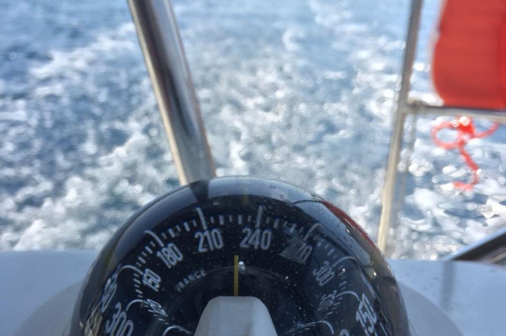 Original-Foto eines Kunden | aufgenommen am 20.06.2018