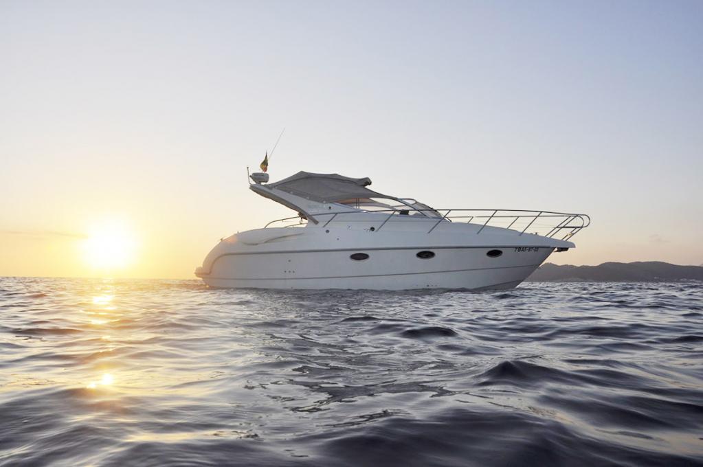 Katalog-Foto (evt. abweichend)