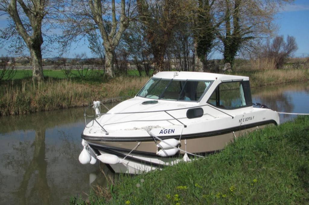 Katalog-Foto (evt. abweichend)