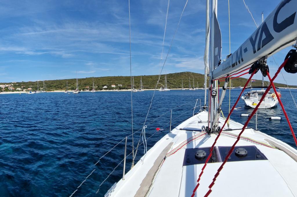 Original-Foto eines Kunden | aufgenommen am 09.08.2022