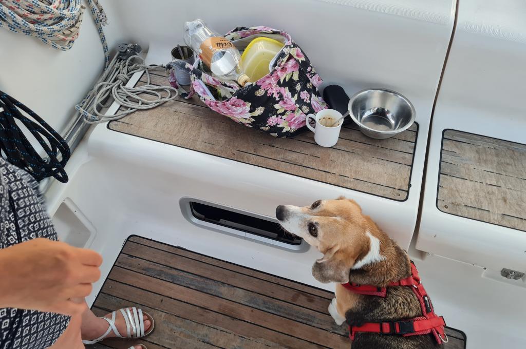 Original-Foto eines Kunden | aufgenommen am 06.08.2022