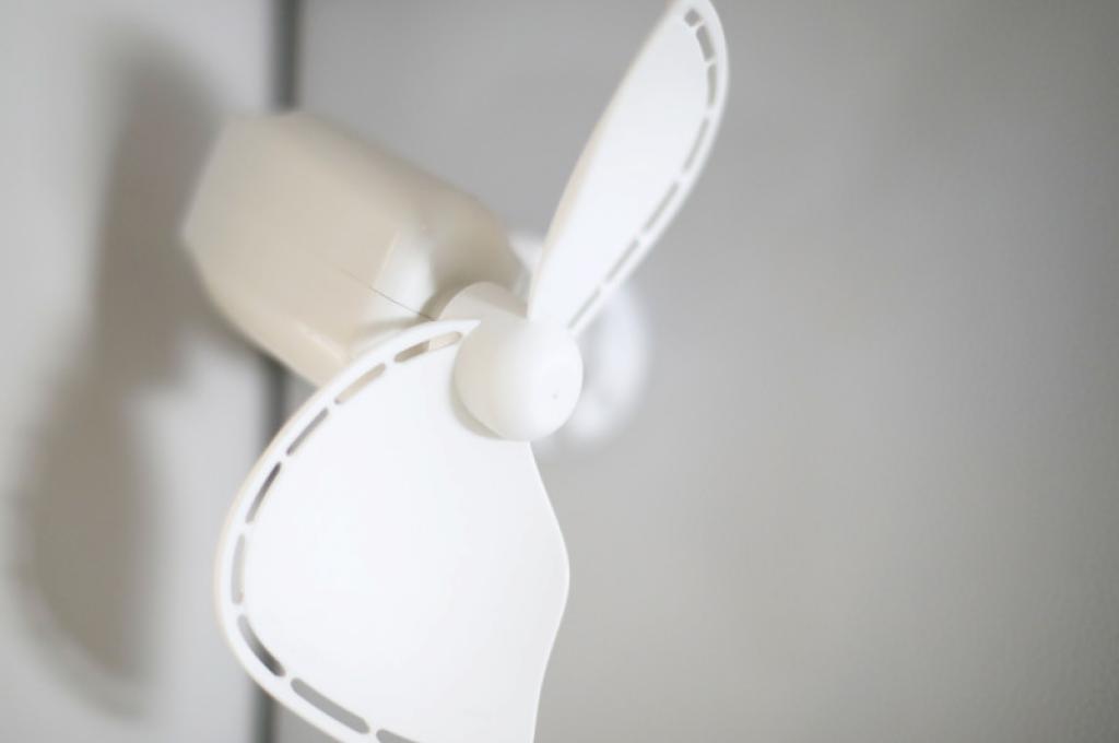 Original-Foto | aufgenommen am 06.07.2019