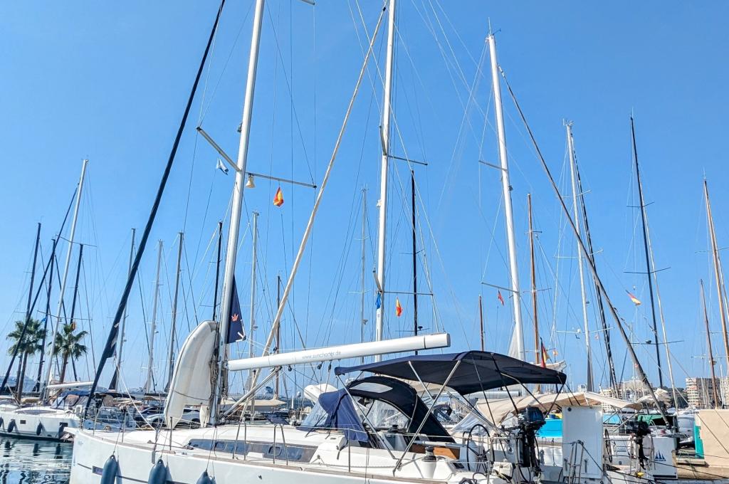 Original-Foto eines Kunden | aufgenommen am 19.08.2023