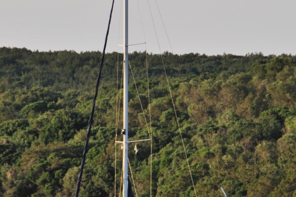 Original-Foto eines Kunden | aufgenommen am 01.09.2016