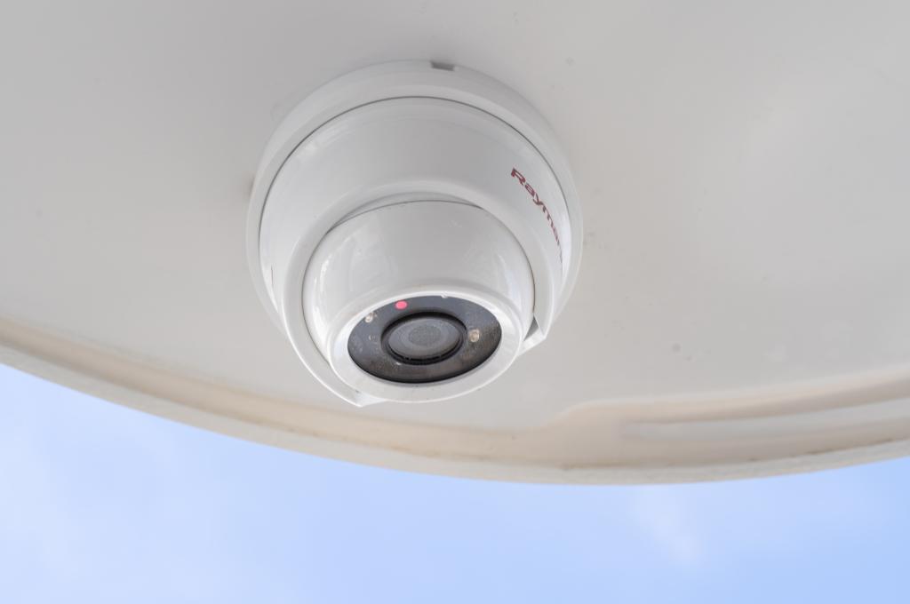 Original-Foto | aufgenommen am 25.10.2023