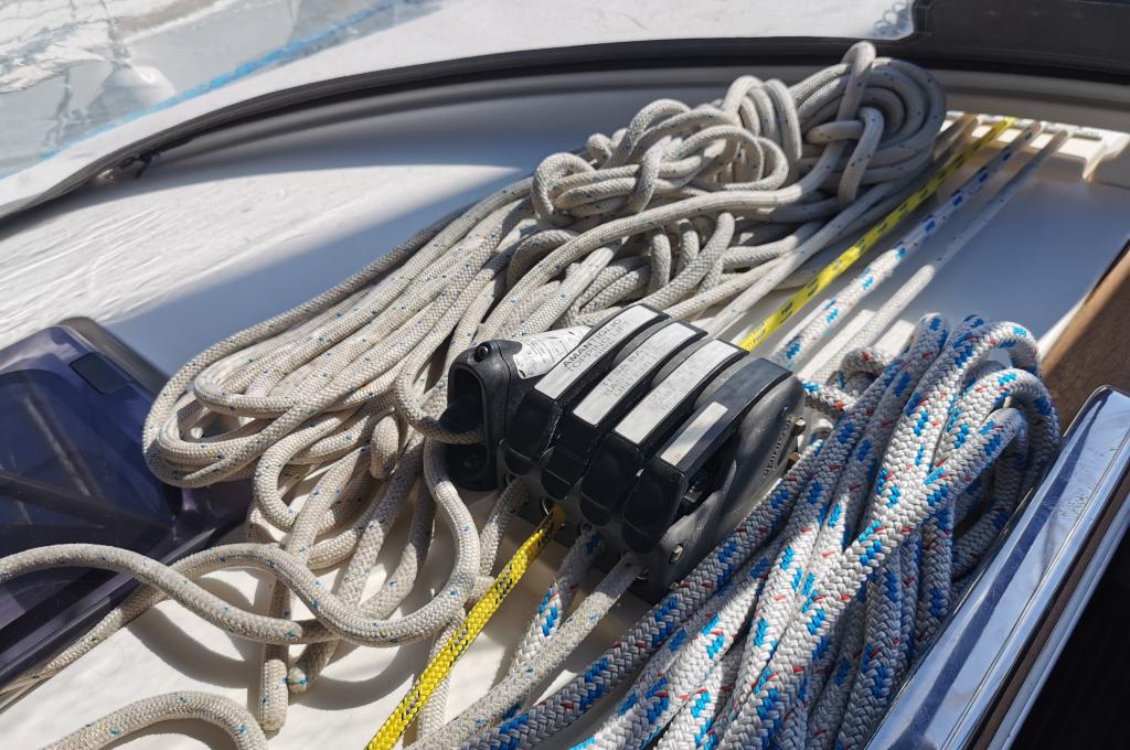 Original-Foto | aufgenommen am 15.07.2023