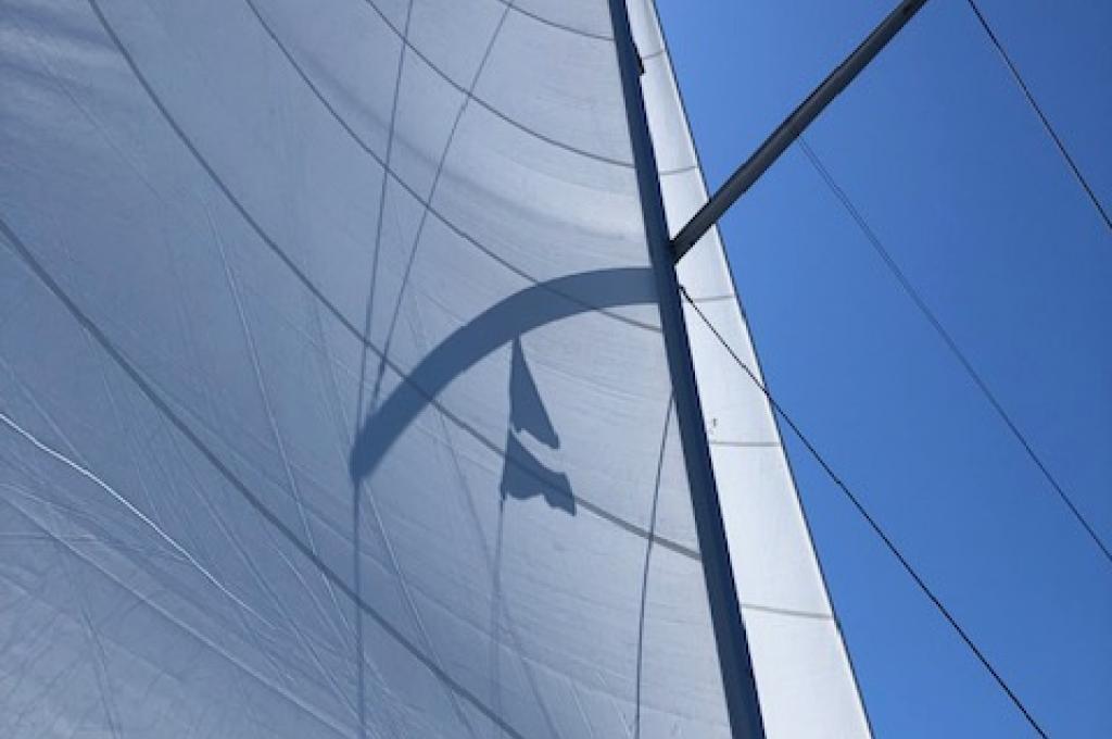 Original-Foto eines Kunden