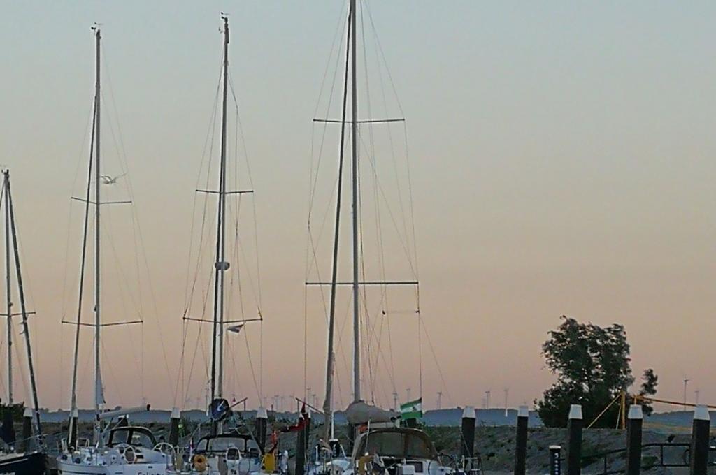 Original-Foto eines Kunden | aufgenommen am 20.06.2018