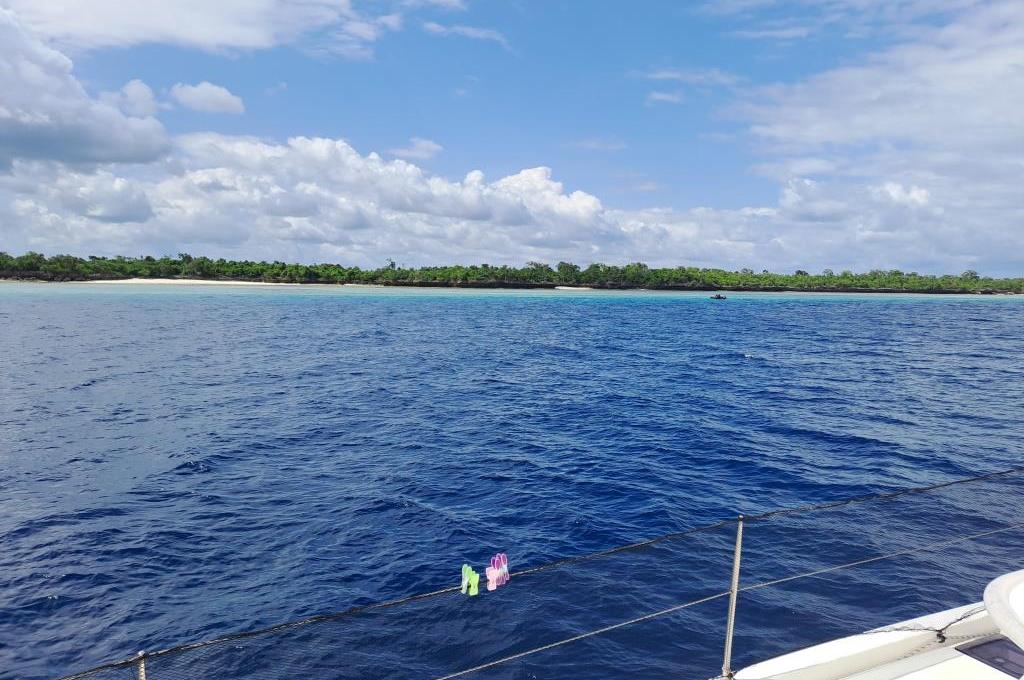 Original-Foto | aufgenommen am 22.06.2023