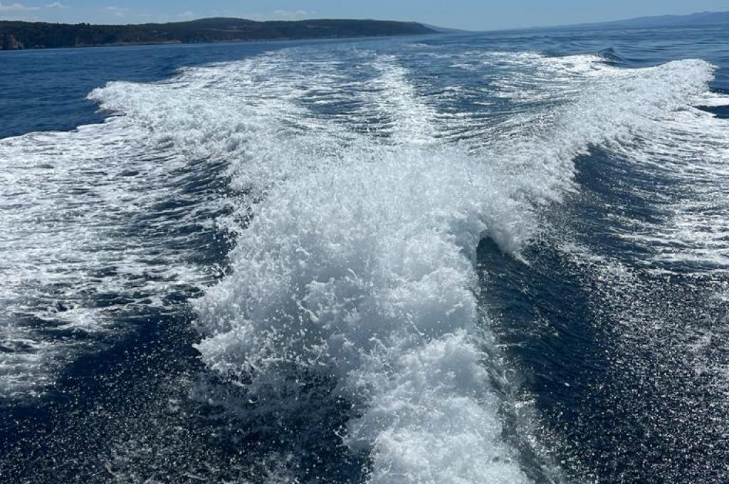 Original-Foto eines Kunden