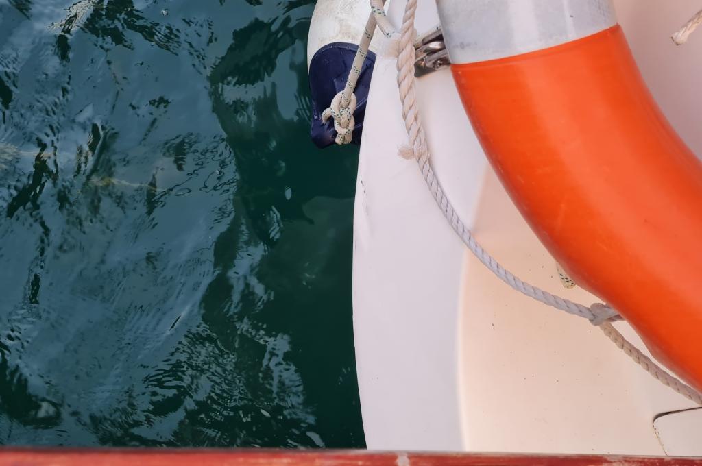 Original-Foto eines Kunden | aufgenommen am 06.08.2022