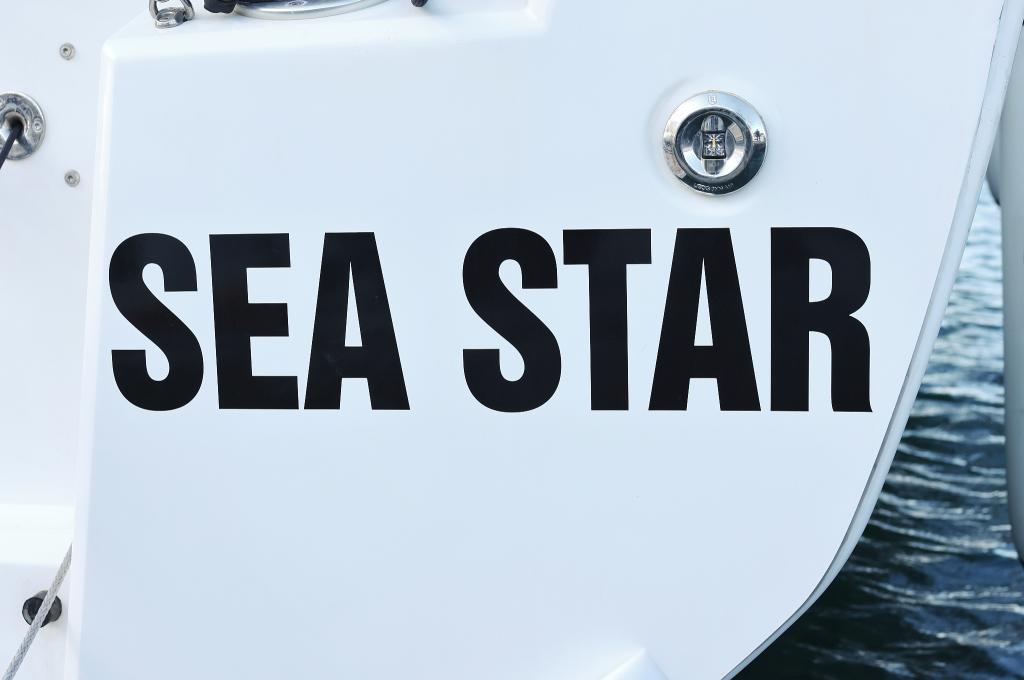 Original-Foto | aufgenommen am 17.11.2023