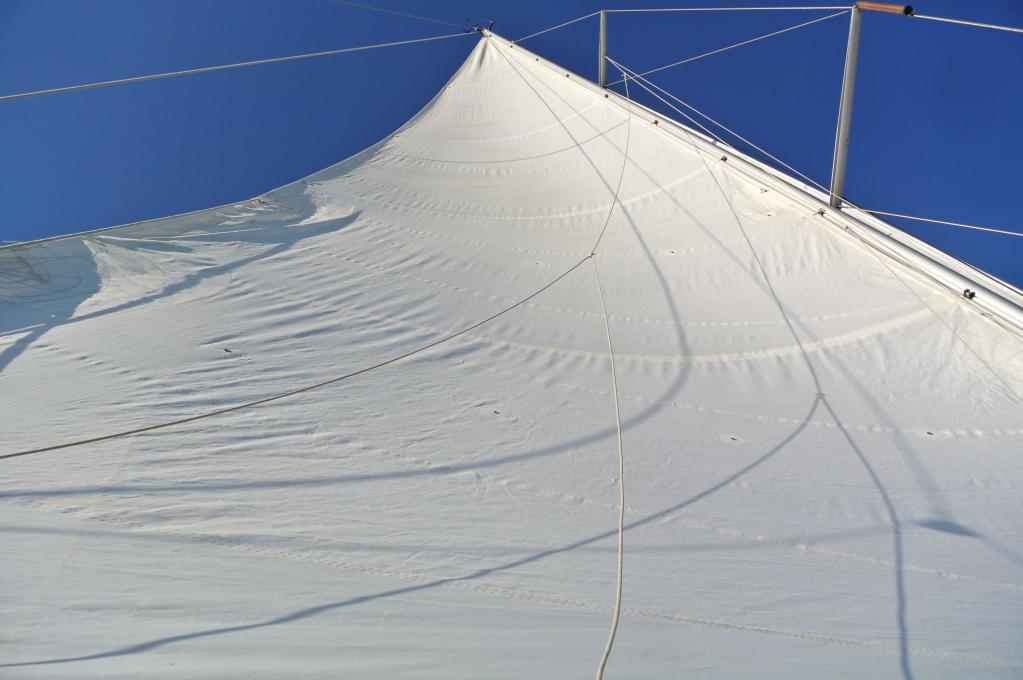 Original-Foto eines Kunden | aufgenommen am 26.08.2021