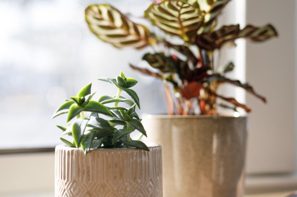 Original-Foto | aufgenommen am 05.11.2024