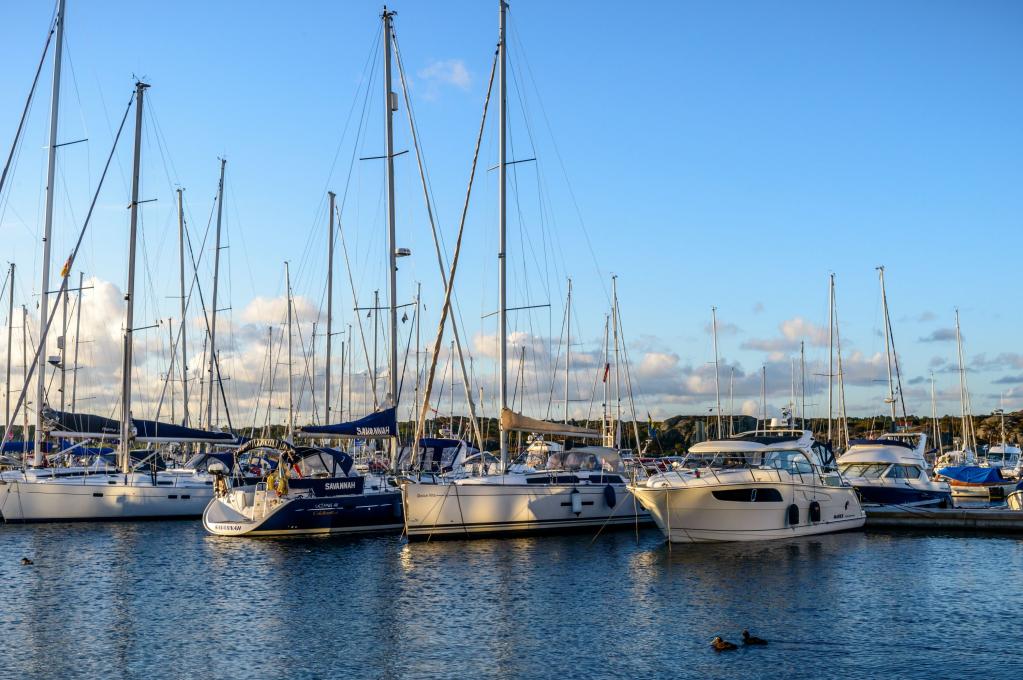 Original-Foto eines Kunden | aufgenommen am 14.08.2017