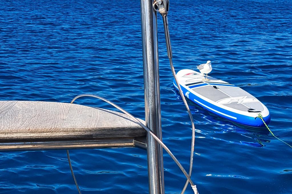 Original-Foto eines Kunden