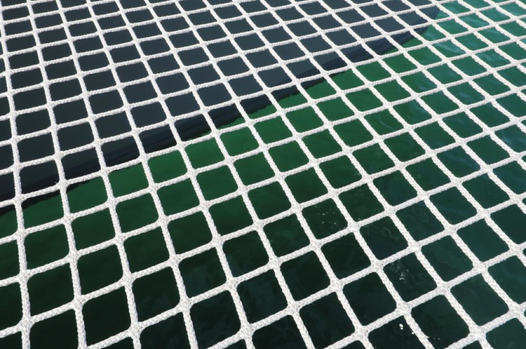 Original-Foto | aufgenommen am 05.09.2018