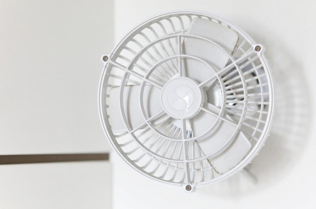 Original-Foto | aufgenommen am 15.05.2019