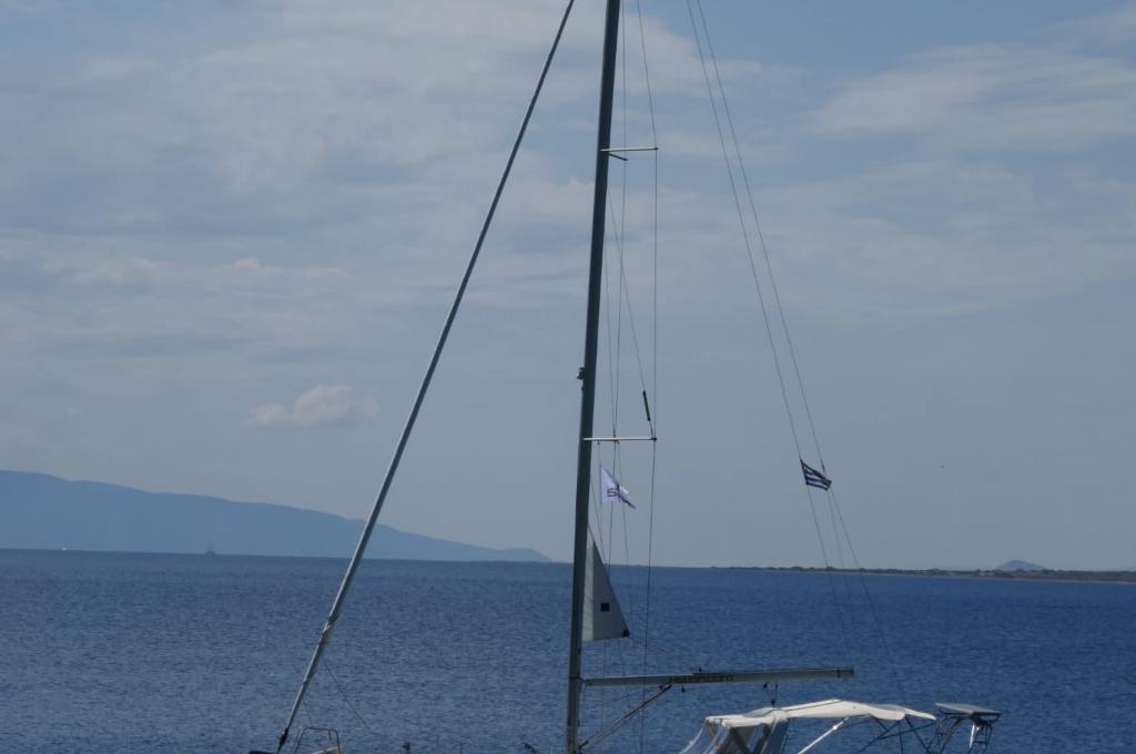 Original-Foto eines Kunden | aufgenommen am 17.05.2025