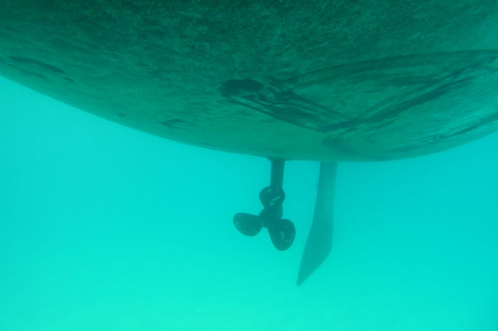 Original-Foto eines Kunden