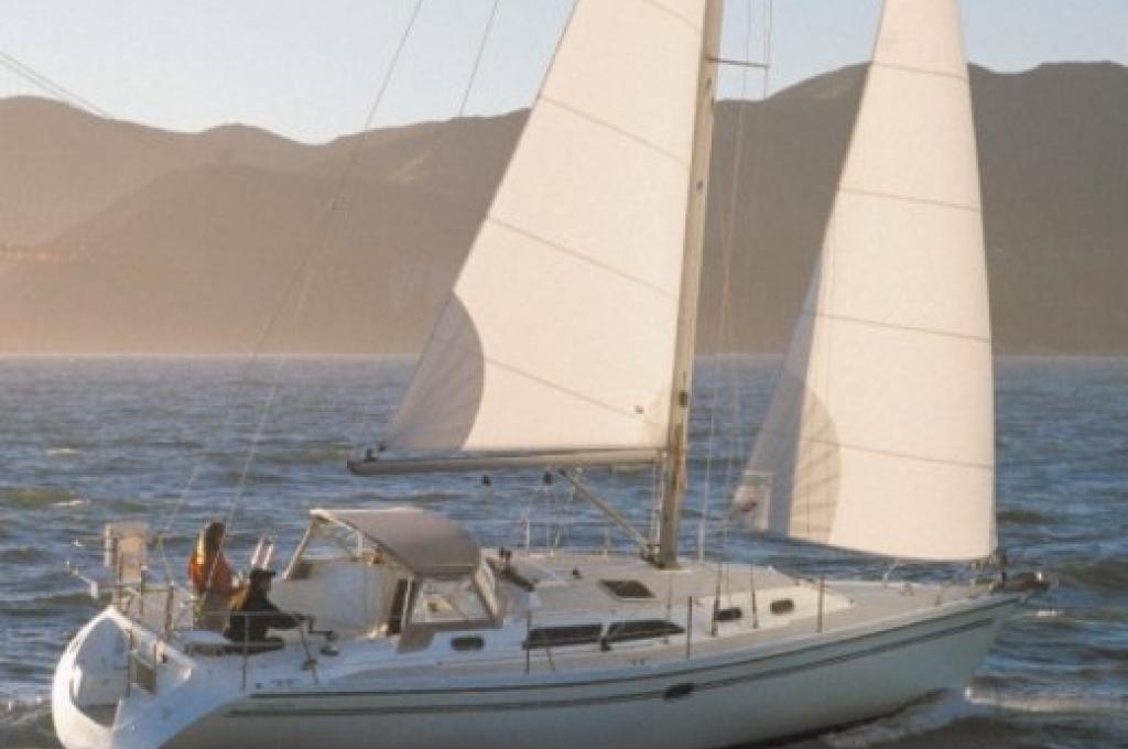 Katalog-Foto (evt. abweichend)