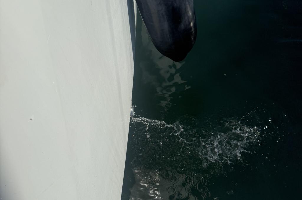 Original-Foto eines Kunden