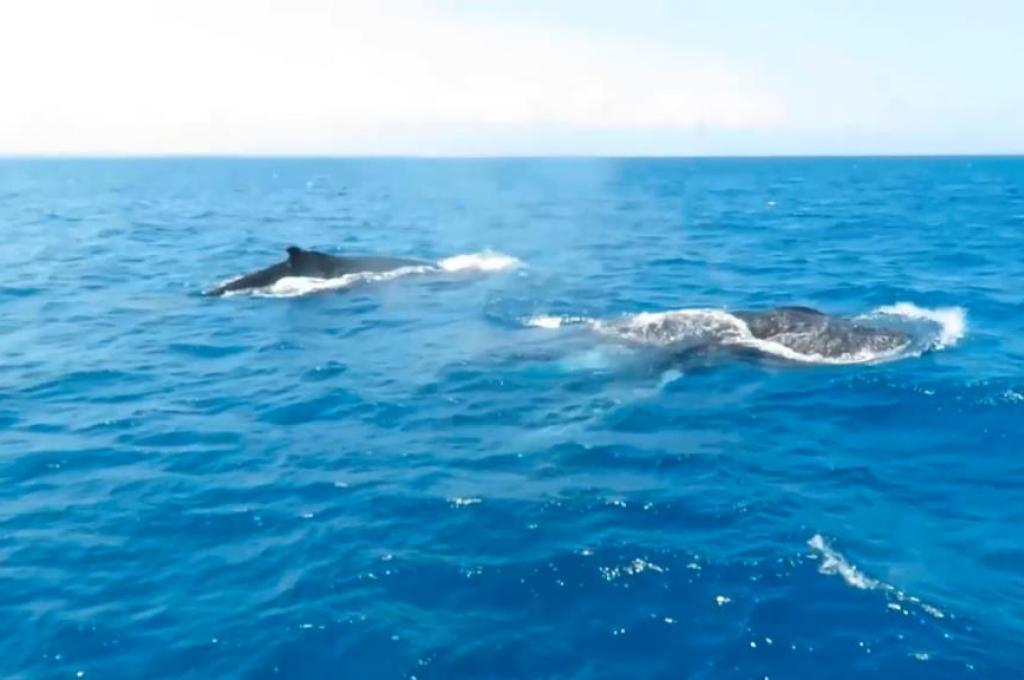 Original-Foto | aufgenommen am 05.11.2023