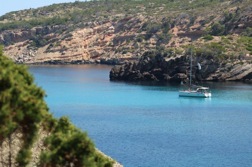 Katalog-Foto (evt. abweichend)