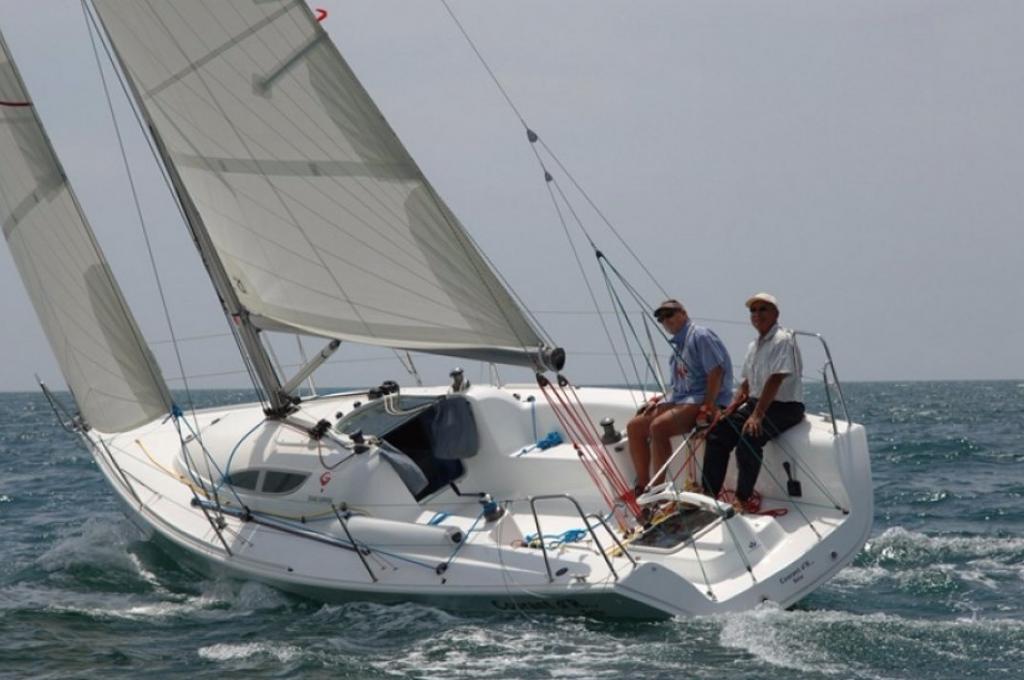 Katalog-Foto (evt. abweichend)