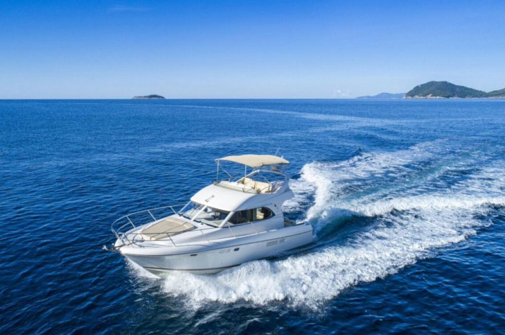 Katalog-Foto (evt. abweichend)