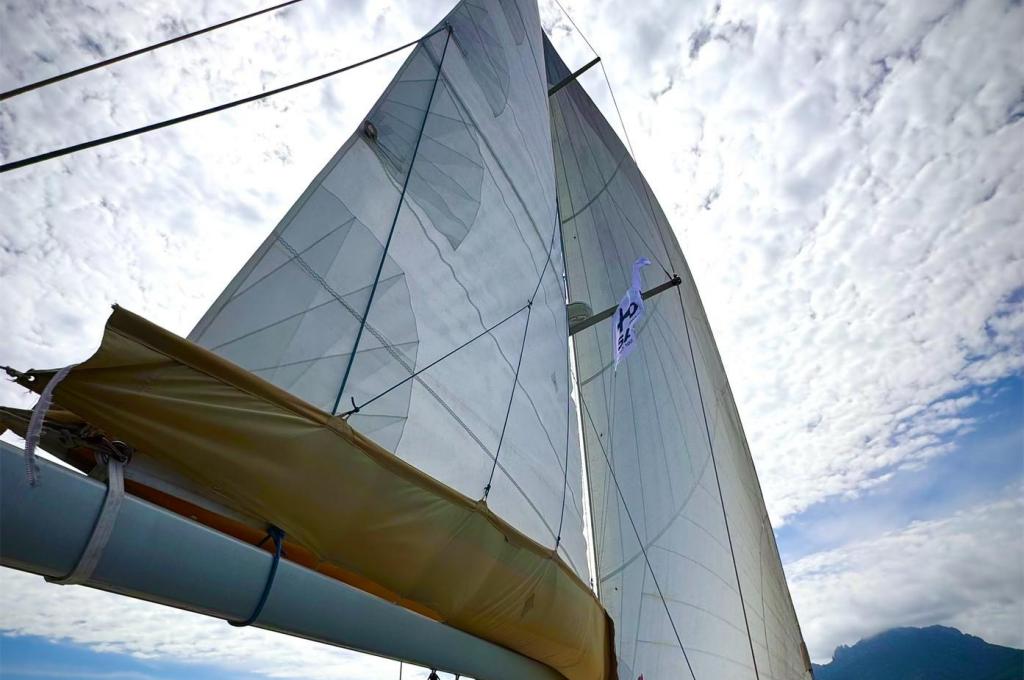 Original-Foto | aufgenommen am 10.09.2025