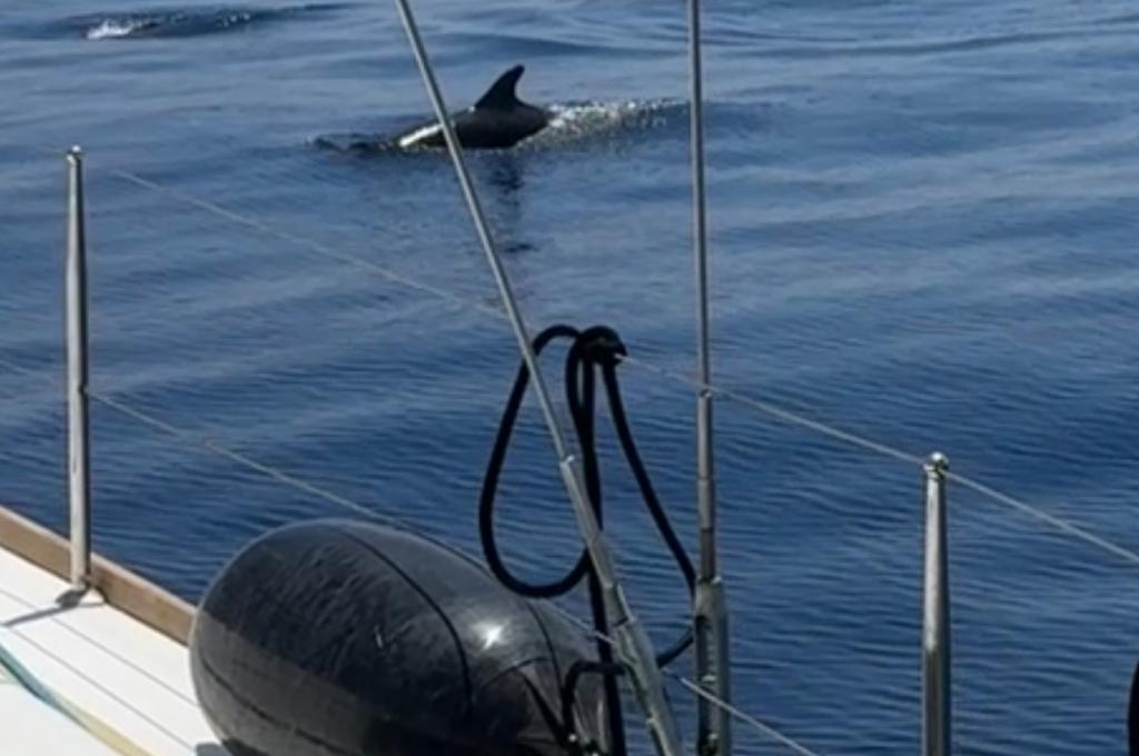 Original-Foto eines Kunden