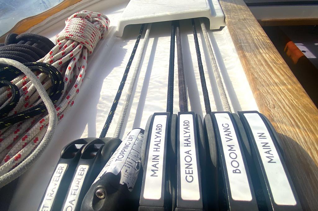 Original-Foto | aufgenommen am 10.10.2023