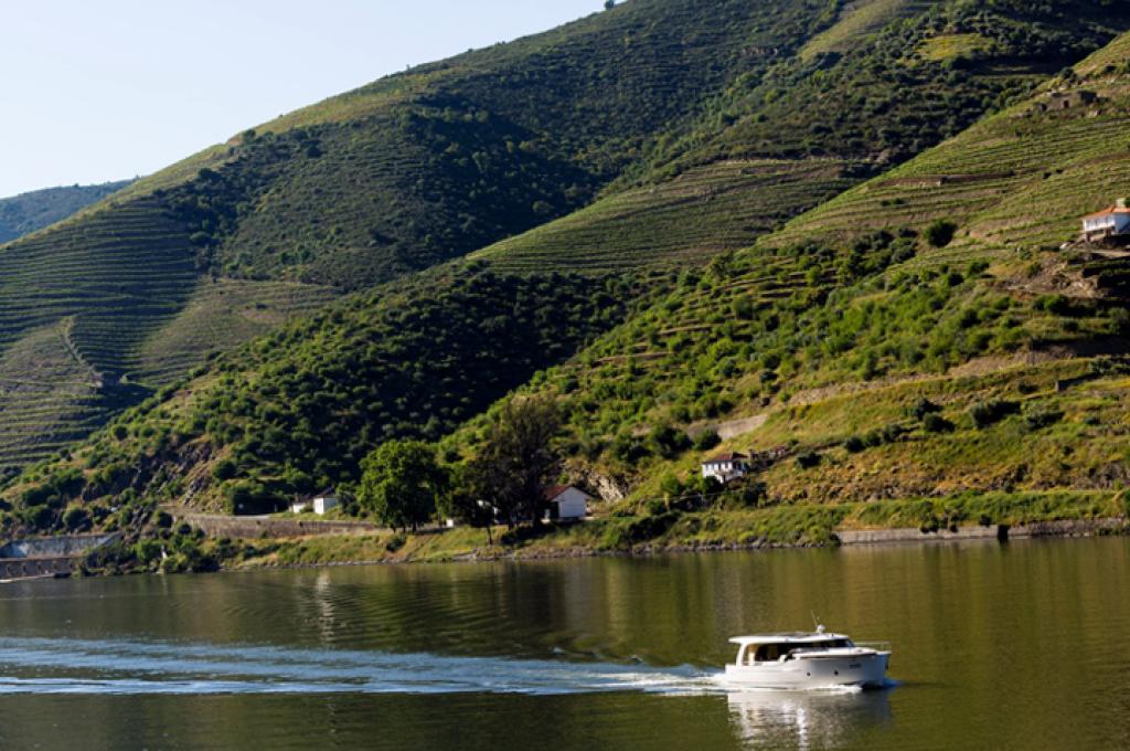 Katalog-Foto (evt. abweichend) | aufgenommen am 13.05.2013