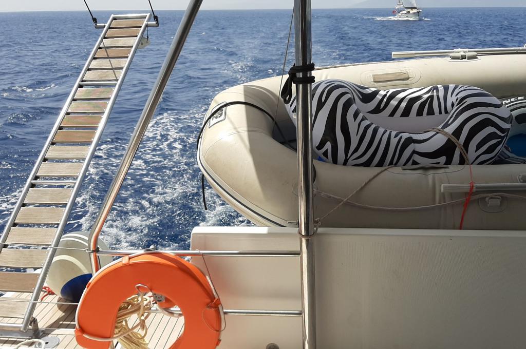 Original-Foto eines Kunden | aufgenommen am 25.06.2021