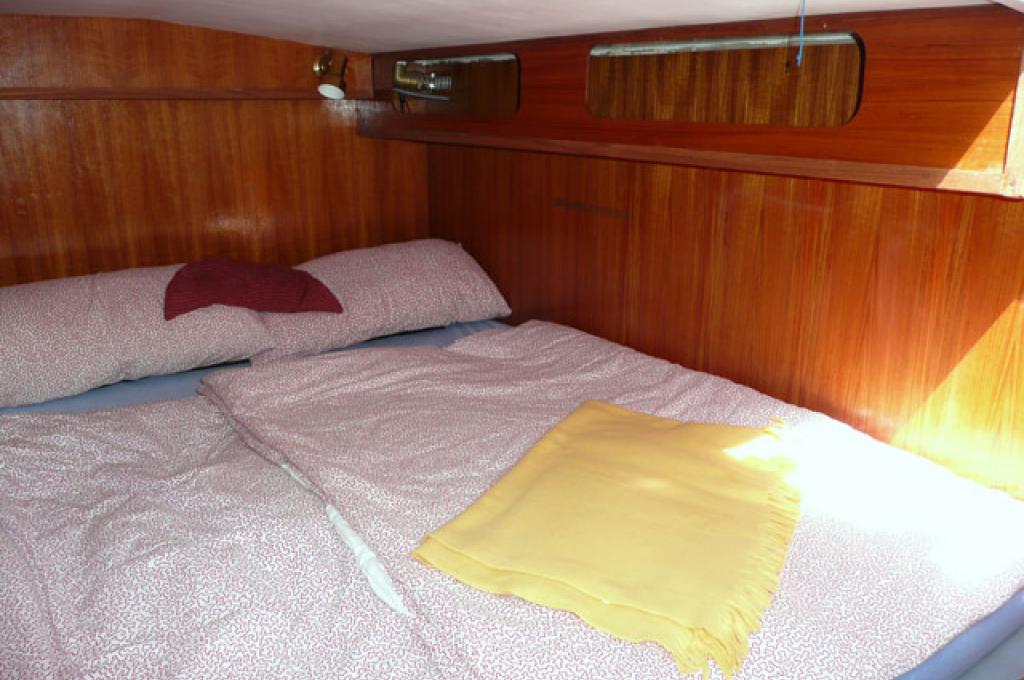 Katalog-Foto (evt. abweichend)