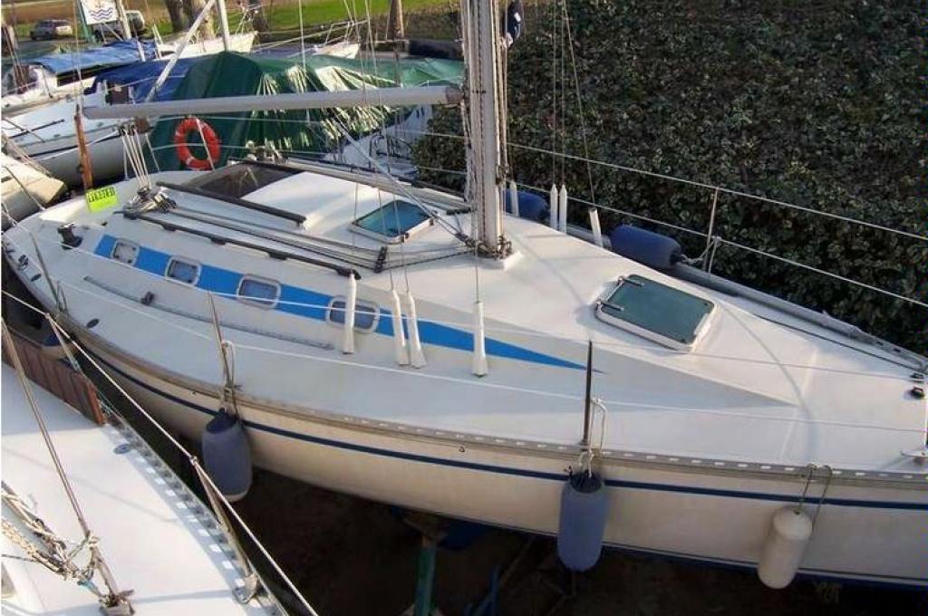 Katalog-Foto (evt. abweichend)