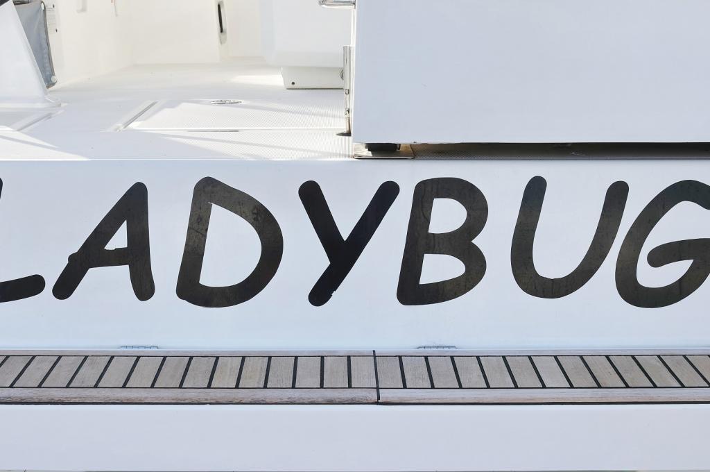 Original-Foto | aufgenommen am 10.10.2023