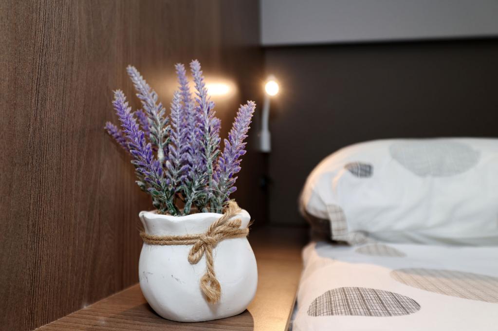 Original-Foto | aufgenommen am 30.07.2025