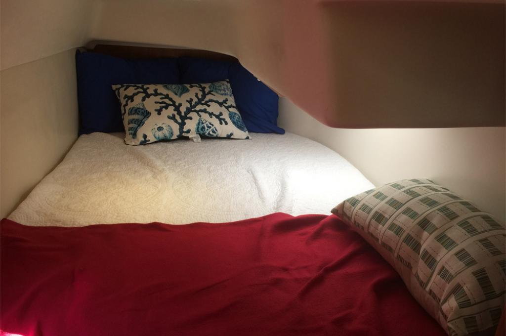 Katalog-Foto (evt. abweichend)