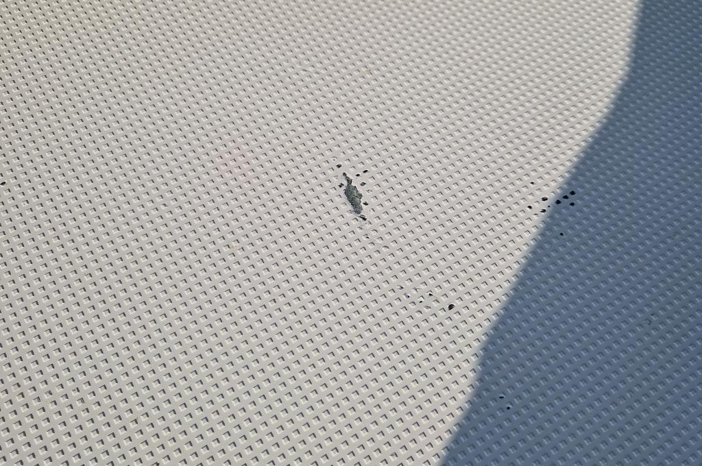 Original-Foto eines Kunden